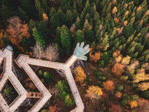 Wieża widokowa w Kurzętniku