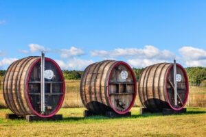 Lubuskie Centrum Winiarstwa