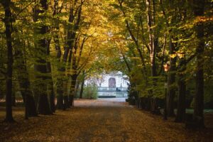 Muzeum Zamkowe w Pszczynie