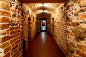 Pałac Ogińskich w Siedlcach