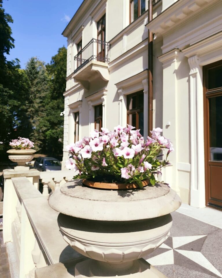 Pałac Wielopolskich w Częstocicach