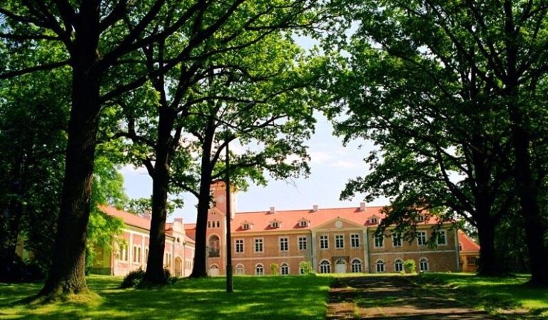 Pałac w Dobrocinie