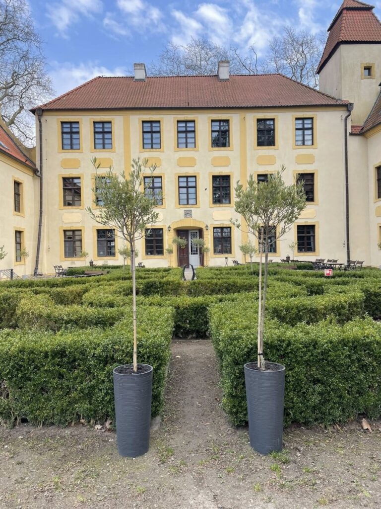 Pałac w Krokowej
