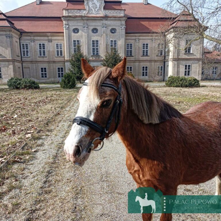 Pałac w Pępowie