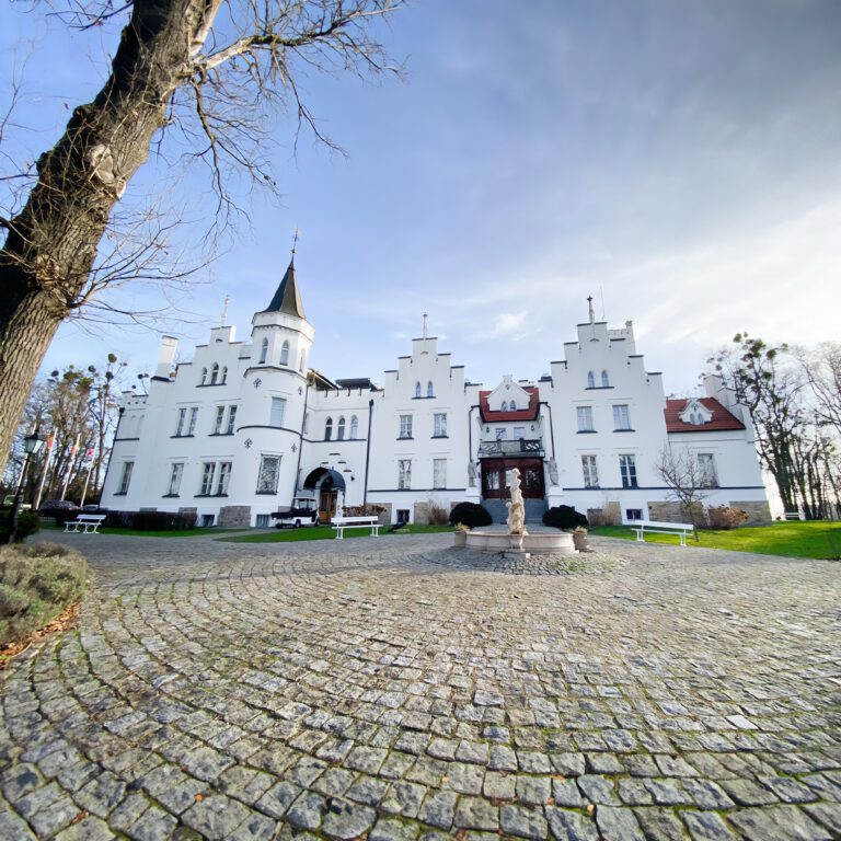 Pałac w Sulisławiu