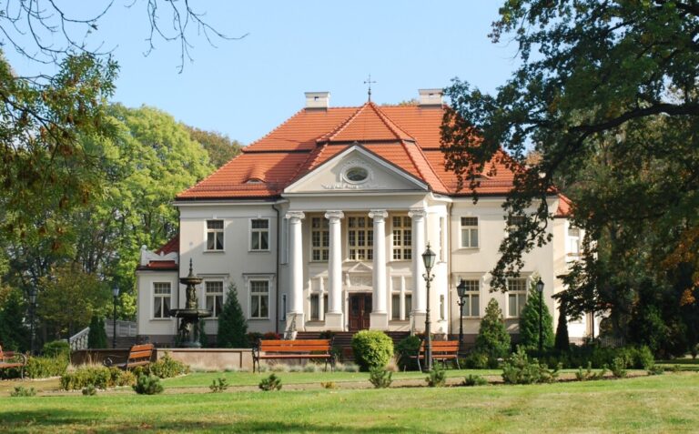 Pałac w Tłokini Kościelnej