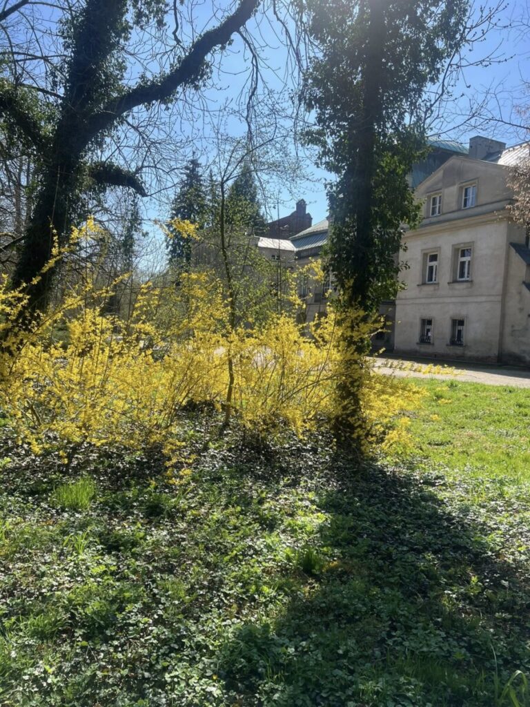 Pałac w Turwi