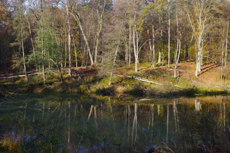 Wielkopolski Park Narodowy
