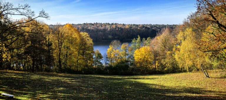 Wielkopolski Park Narodowy
