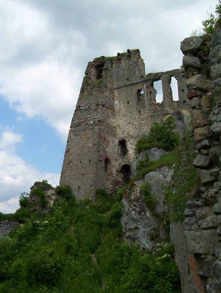 Zamek Kamieniec
