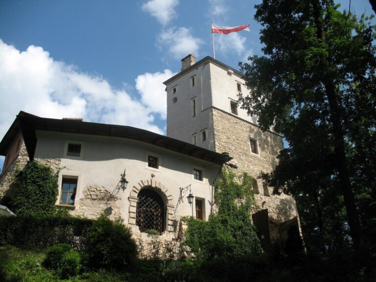 Zamek w Korzkwi