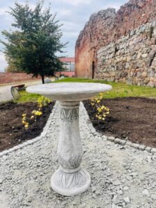 Zamek Krzyżacki w Toruniu