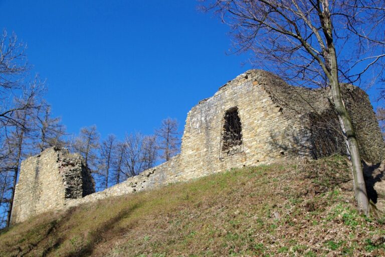 Zamek w Lanckoronie