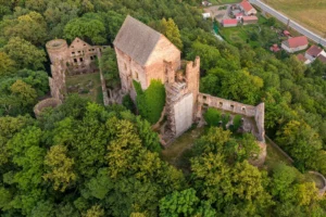 Zamek Świny