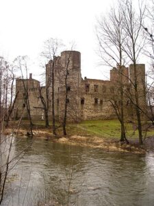 Zamek w Drzewicy