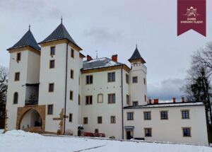 Zamek w Grodźcu Śląskim