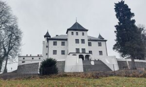 Zamek w Grodźcu Śląskim