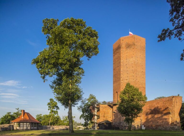 Zamek w Kruszwicy