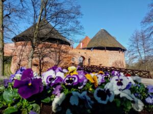 Zamek w Międzyrzeczu