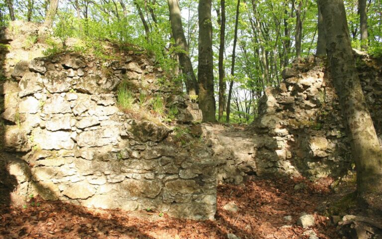 Zamek Ostrężnik