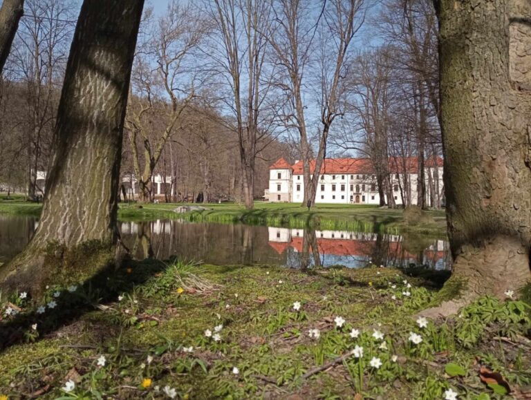 Zamek w Suchej Beskidzkiej