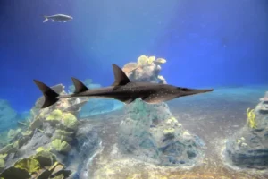 Afrykarium we Wrocławiu