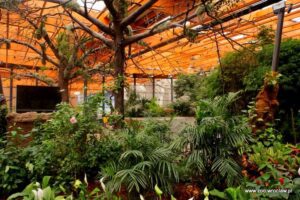 Afrykarium we Wrocławiu