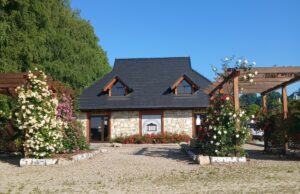 Arboretum w Bolestraszycach