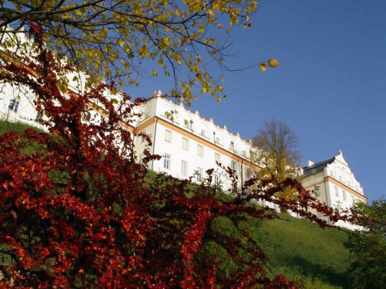 Collegium Gostomianum w Sandomierzu