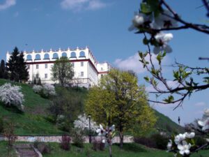 Collegium Gostomianum w Sandomierzu