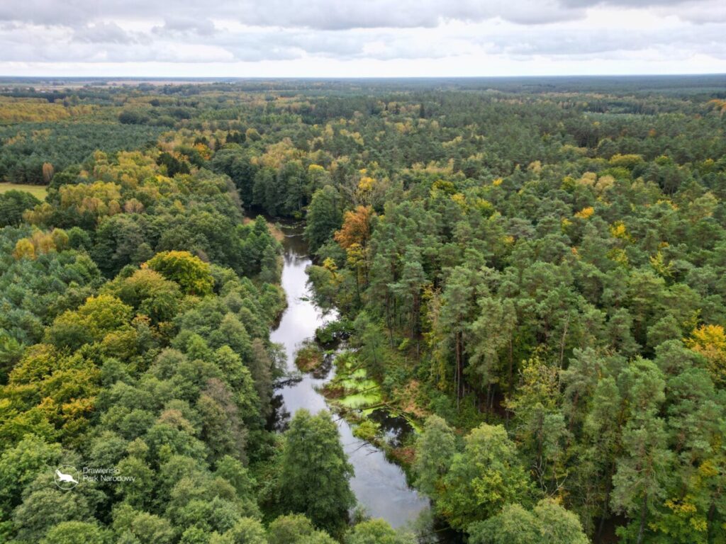 Drawieński Park Narodowy