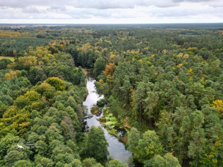Drawieński Park Narodowy