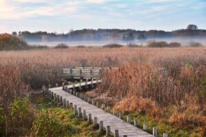 Kampinoski Park Narodowy