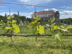 Kościół św. Jakuba w Sandomierzu