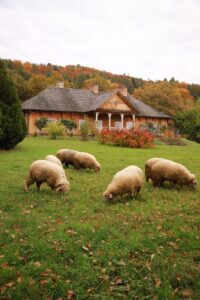 Muzeum Budownictwa Ludowego w Sanoku