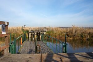 Narwiański Park Narodowy