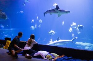 Ogród Zoologiczny we Wrocławiu