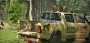 Ogród Zoologiczny we Wrocławiu