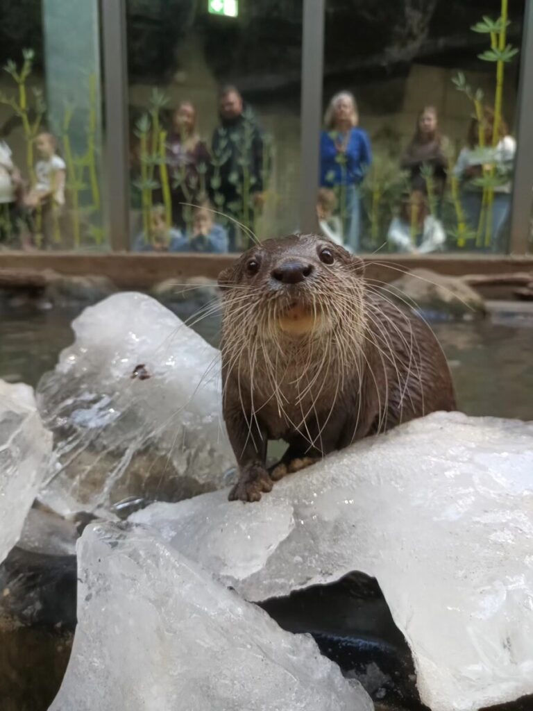 Orientarium ZOO Łódź