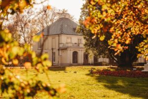 Pałac Walewskich w Walewicach