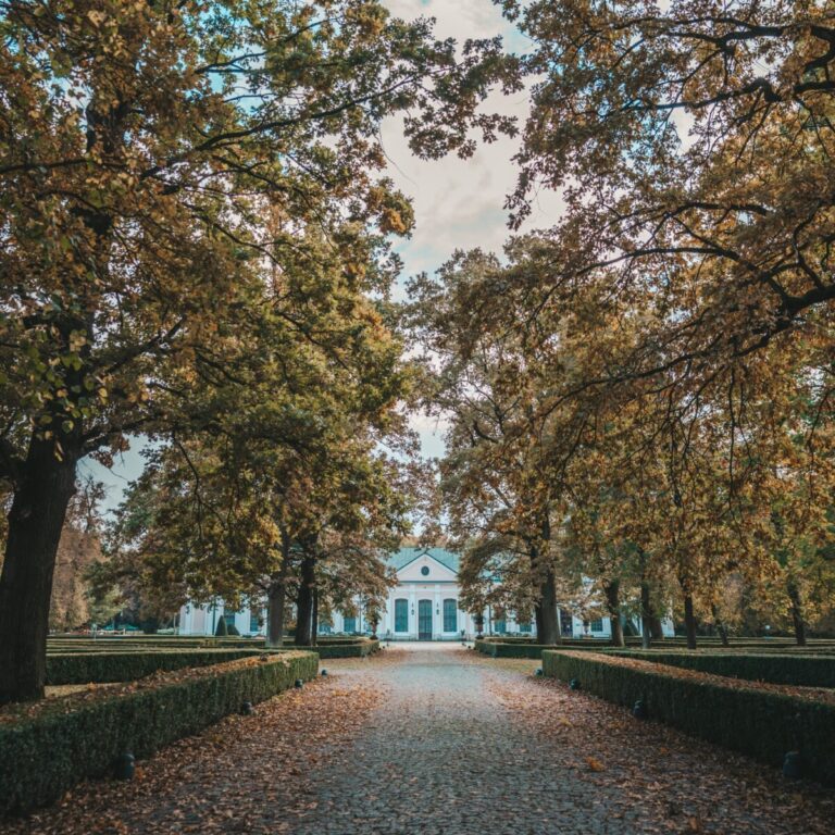 Pałac w Sieniawie