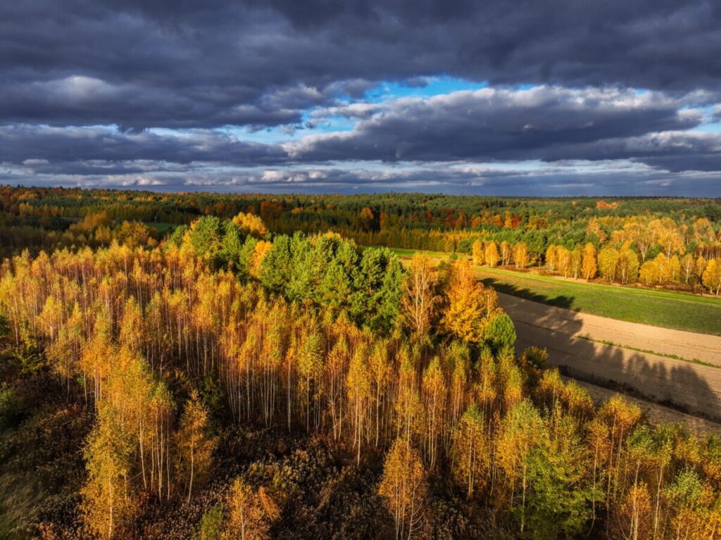 Roztoczański Park Narodowy