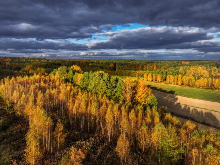 Roztoczański Park Narodowy