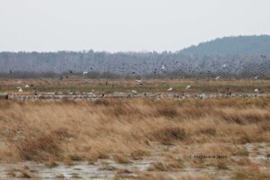 Słowiński Park Narodowy