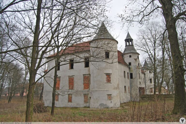 Zamek w Chobieni