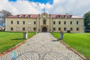 Zamek w Starych Tarnowicach