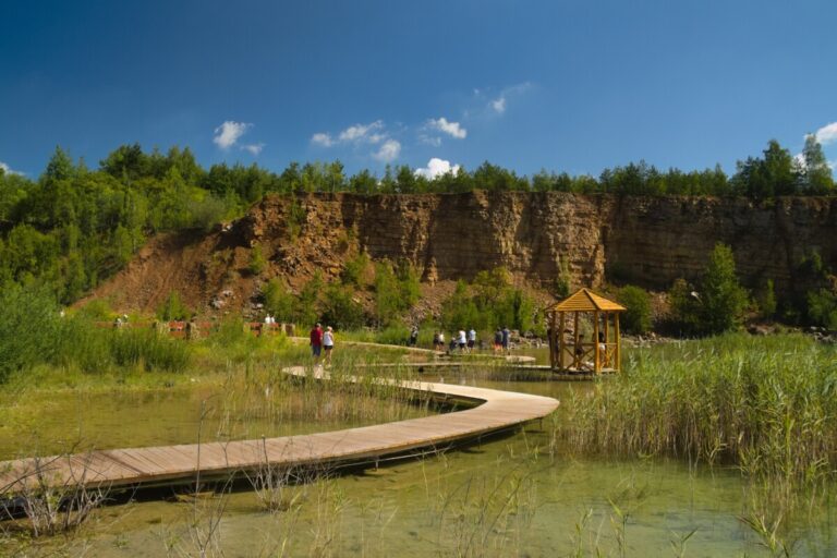 Arboretum Park Gródek