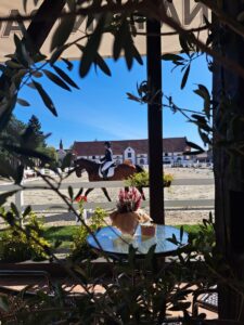 Hotel i Stadnina Koni w Racocie