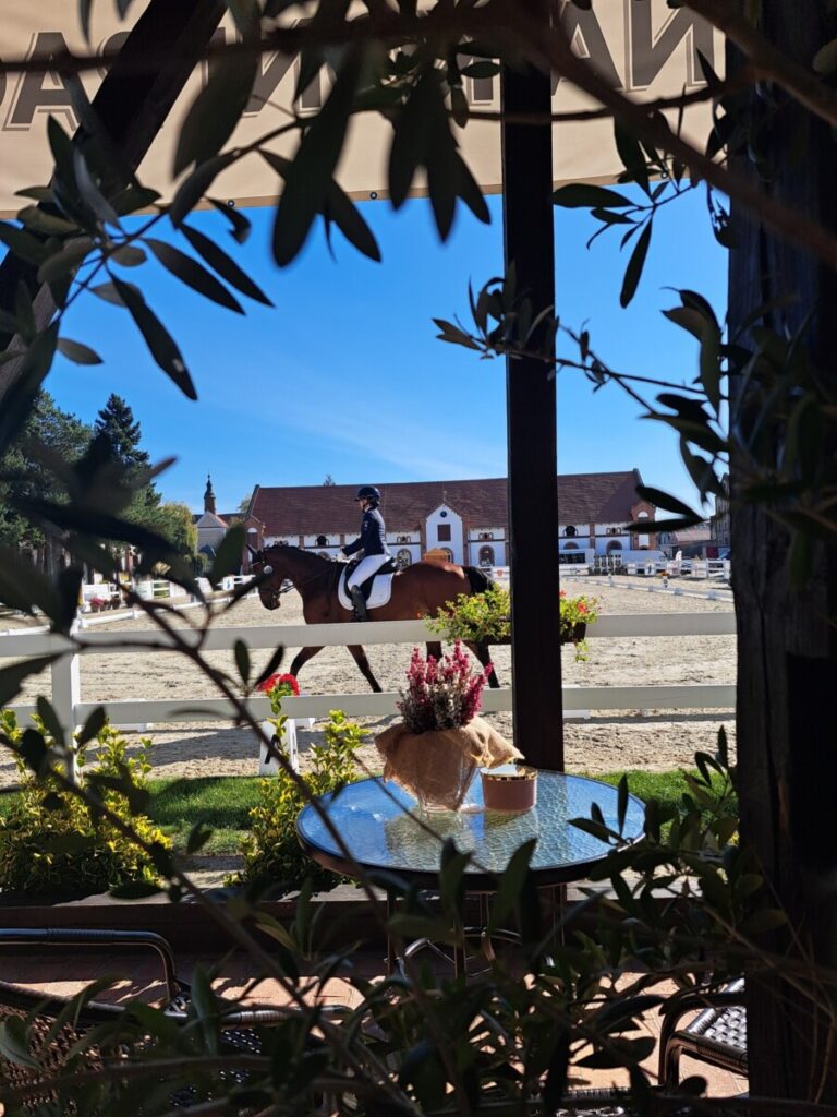 Hotel i Stadnina Koni w Racocie