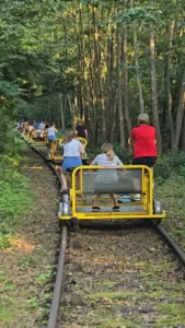 Lokalna Kolej Drezynowa w Regulicach